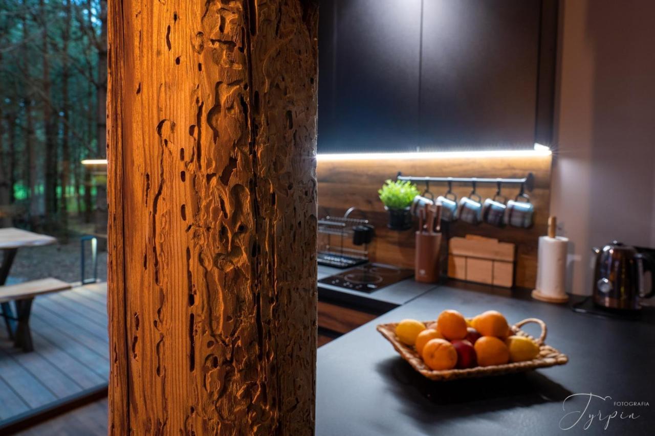 Вилла Dziupla House Czarna  Экстерьер фото