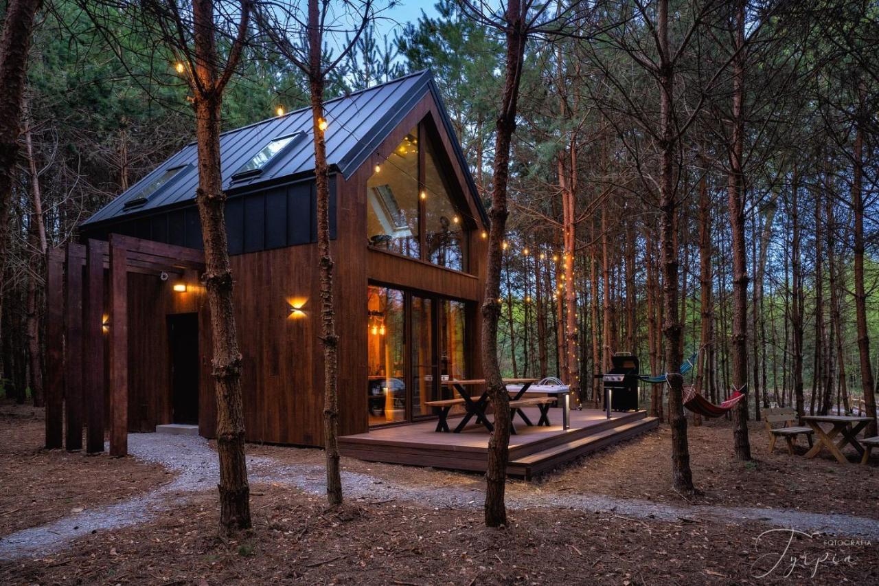 Вилла Dziupla House Czarna  Экстерьер фото