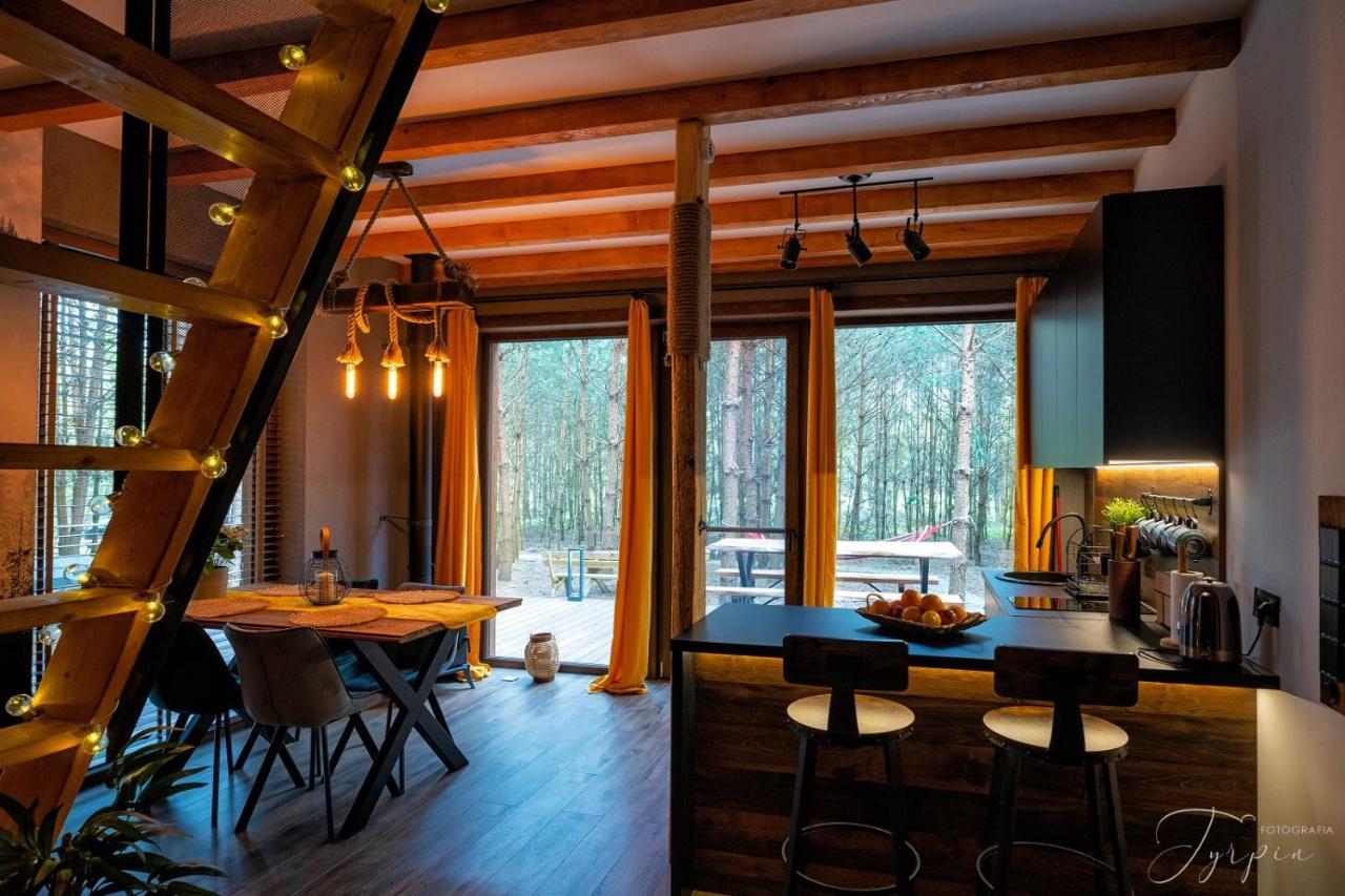 Вилла Dziupla House Czarna  Экстерьер фото
