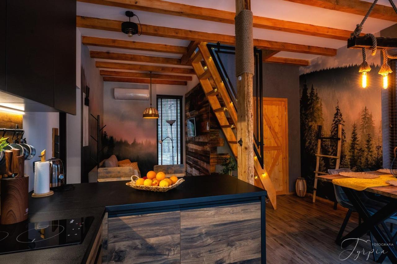 Вилла Dziupla House Czarna  Экстерьер фото