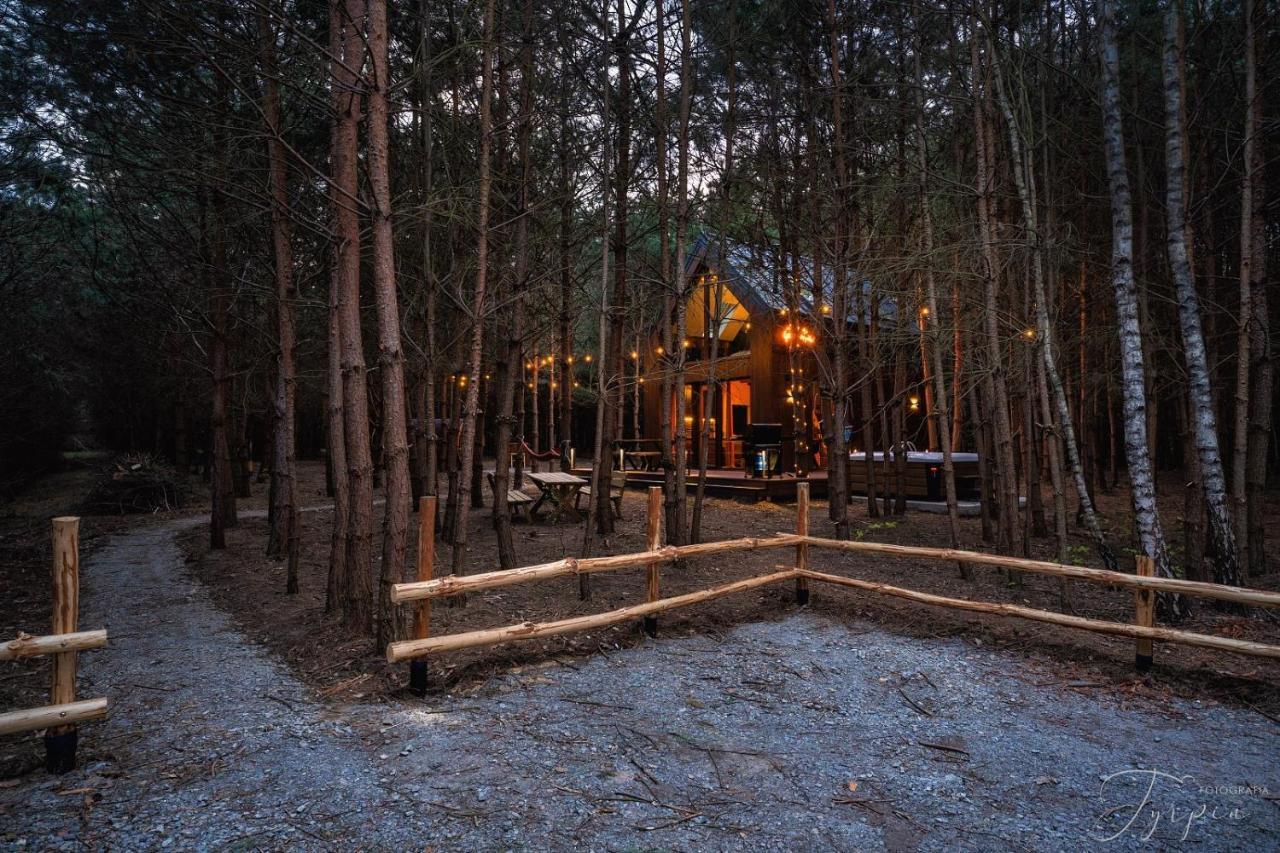 Вилла Dziupla House Czarna  Экстерьер фото
