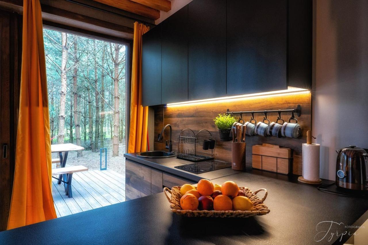Вилла Dziupla House Czarna  Экстерьер фото
